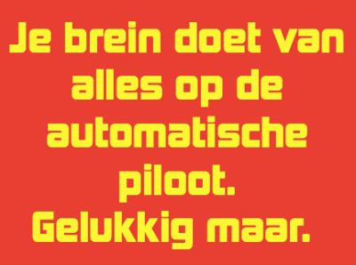 Automatische-2Bpiloot-2Bblogquote.jpeg
