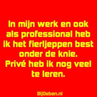 Blogquote_fierljeppen