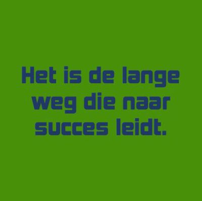 blogquoteLangewegnaarSucces.jpeg
